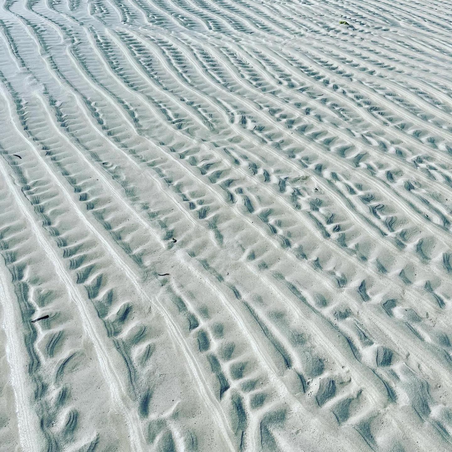 Nyumba Ya Afrika Panzió Watamu Kültér fotó